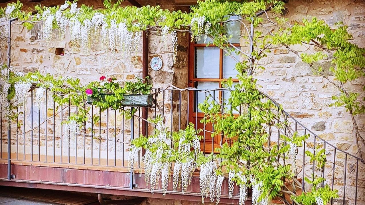 Hotel Podere Conti Filattiera Bagian luar foto